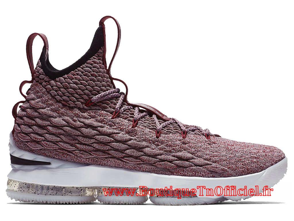 les chaussures de lebron james