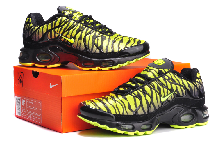 tn edition foot locker